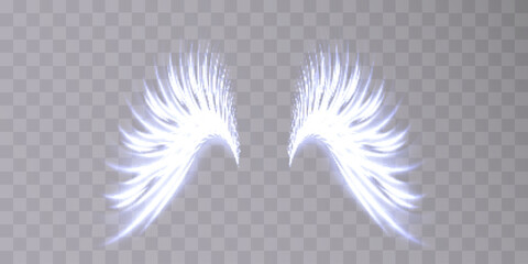 Abstract vector electric light wing. Spark flash effect. Neon glowing curves. Bright curved line.