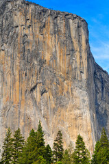 The famous sheer rock face of El Capitan and the woods beneath, Yosemite National Park, California, USA	.