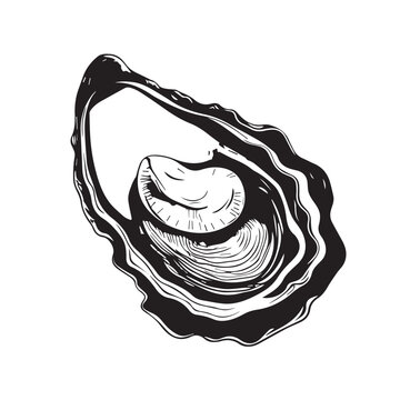 recommend clip art: Oyster in cartoon, doodle style. Isolated 2d vector illustration in logo, icon, sketch style, Eps 10, black and white. AI Generative