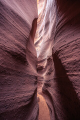 Spooky Slot Canyon, Hole in a Rock Road, Grand Staircase National Monument, Utah