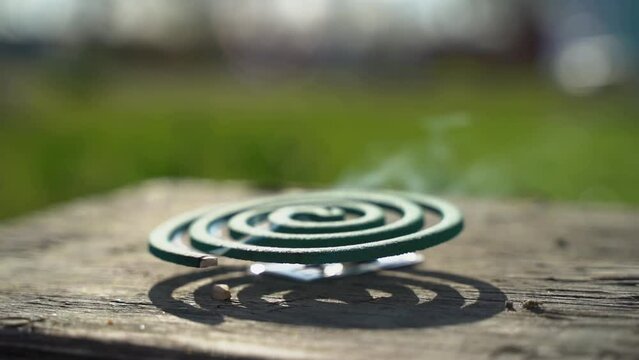 spiral from mosquitoes and insects in nature