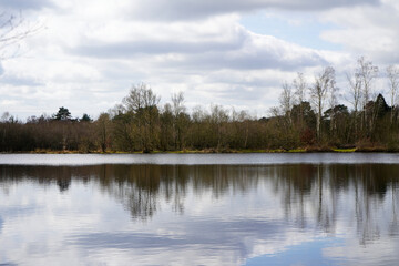 Reflections of woodland and trees on a still lake of water