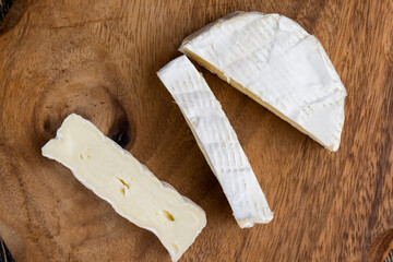 soft processed cheese with white mold on the table