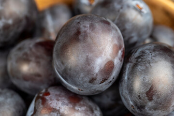 Wet purple plum on the table, fresh harvest