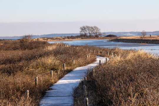 Winter am zugefrorenen kleinen Binnensee bei Behrensdorf in der Hohwachter Bucht in Schleswig-Holstein