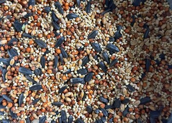 Variety of bird seed to be used as a background