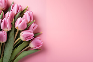 Pink Tulips on Soft Pink Background with copy space