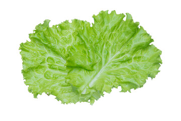 Lettuce. Salad leaf isolated on transparent background.