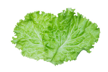 Lettuce. Salad leaf isolated on transparent background.