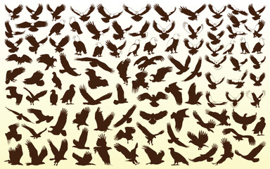 American Eagle Bird Silhouettes Vector Collection