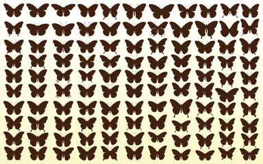 Collection of Butterfly Silhouettes Vector