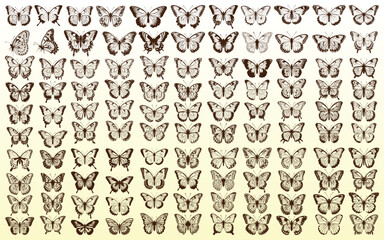 Monochrome Butterfly Silhouettes Vector Collection
