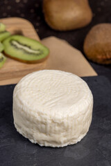 making milk curd from whole milk