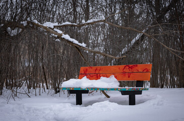 Banc public, coloré, hiver, horizontal, 