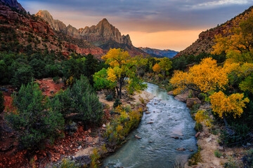 Sunrise on the Virgin River Watchman View, Zion National Park, Utah - Powered by Adobe