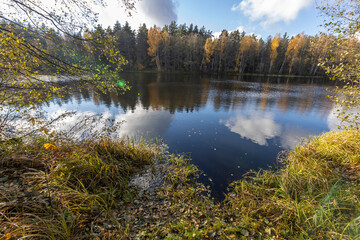 Autumn landscape with trees by the river. Yellow leaves and grass on the river bank in the foreground