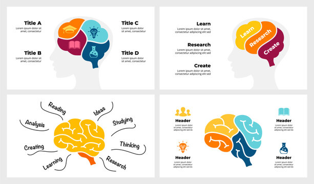 Brain Anatomy Infographic. Human Head Silhouette. Medical Educational Concept. Creative thinking illustration. Medicine circle diagram 3, 4 parts options. Generating Idea Brainstorm. Emotion Thoughts