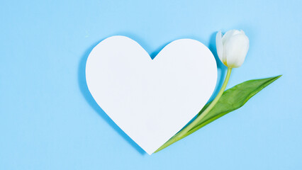 Natural flower of a white tulip appear near the white heart.