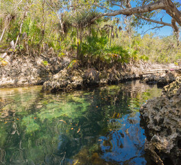 Fototapeta na wymiar Cueva de Los Peces - a cenote of Cuba