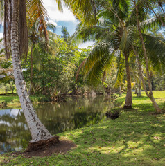 Criadero de Cocodrilos  - a farm of the crocodiles in Cuba