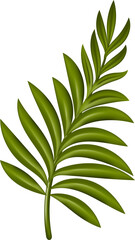 Fototapeta na wymiar Tropical plants. Monstera and palm jungle leaves, green exotic foliage, decorative natural plant . transparent, png