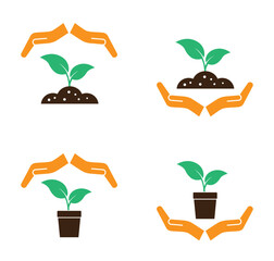 Hands care spring green sprout plant