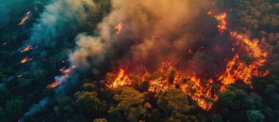 Aerial view of nature ablaze with wildfire during the dry season.