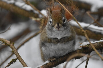 La Plaine 14 Janvier 2024