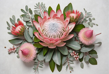 Exquisite pink king protea with pink ice proteas, leucadendrons, eucalyptus leaves and gum nuts in a floral border on a rustic white backdrop. - obrazy, fototapety, plakaty