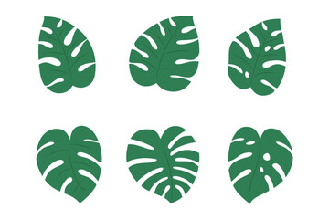 Obraz premium Monstera leaves collection. vector illustration