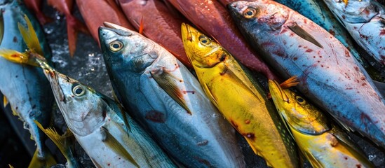 Obraz premium Indian Ocean catches of recently caught fish.