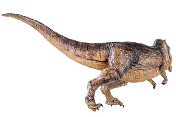 Trex Tyrannosaurus dinosaur on isolated background © meen_na