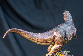 Trex Tyrannosaurus  dinosaur in the dark © meen_na