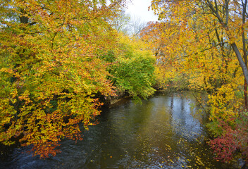 Beautiful autumn colors of trees standing on a small river in Germany