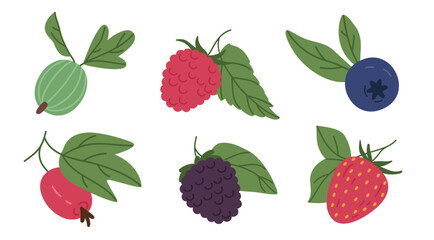 Juicy forest berries. Raspberry, blueberry, strawberry, gooseberry and rosehip berries, edible fresh berries flat vector illustration set. Wild berries collection