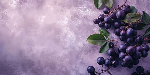 Fresh Black Currants on Pastel flat Background with copy space, banner template. Glistening black currants on a stem with fresh water droplets.