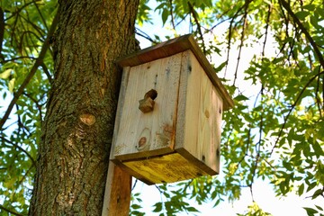 Bird house on the tree