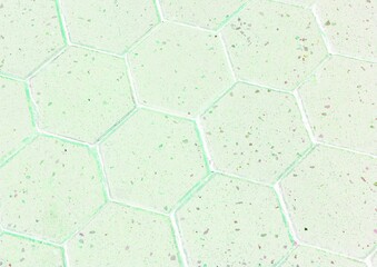 Green bright drawing of football-shaped cobblestones