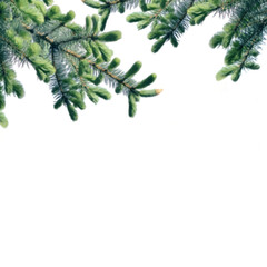 Christmas evergreen tree. Winter holidays decoration element.Happy New Year.Merry Christmas. Spruce pine forest. png