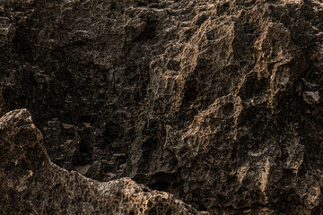 coral rocks texture stone 