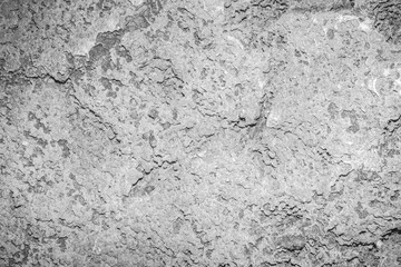 coral rocks texture stone 