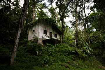 Fototapeta na wymiar Casa abandonada na floresta