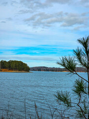 View of the lake with pine trees and blue sky with clouds.