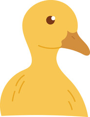 Baby Duck Portrait