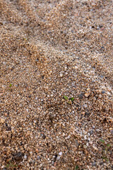 Beach sand in high definition