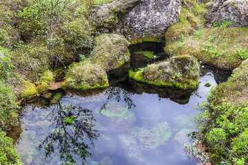 A small stream flows through a green meadow in Iceland.