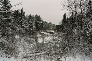 A hike along the Old Railway Bike Trail during winter in Algonquin Park, Ontario