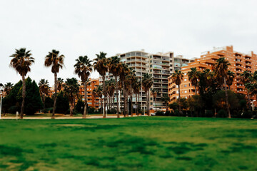 Orange facades of modern high-rise apartment residential buildings and palm trees, green grass. Tropical resort real estate investment. Urban parkland