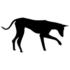 Dog Silhouette Collection Vector 