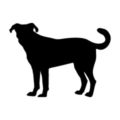 Dog Silhouette Collection Vector 